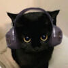 ashcat2026
